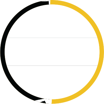 Certified Professional Badge